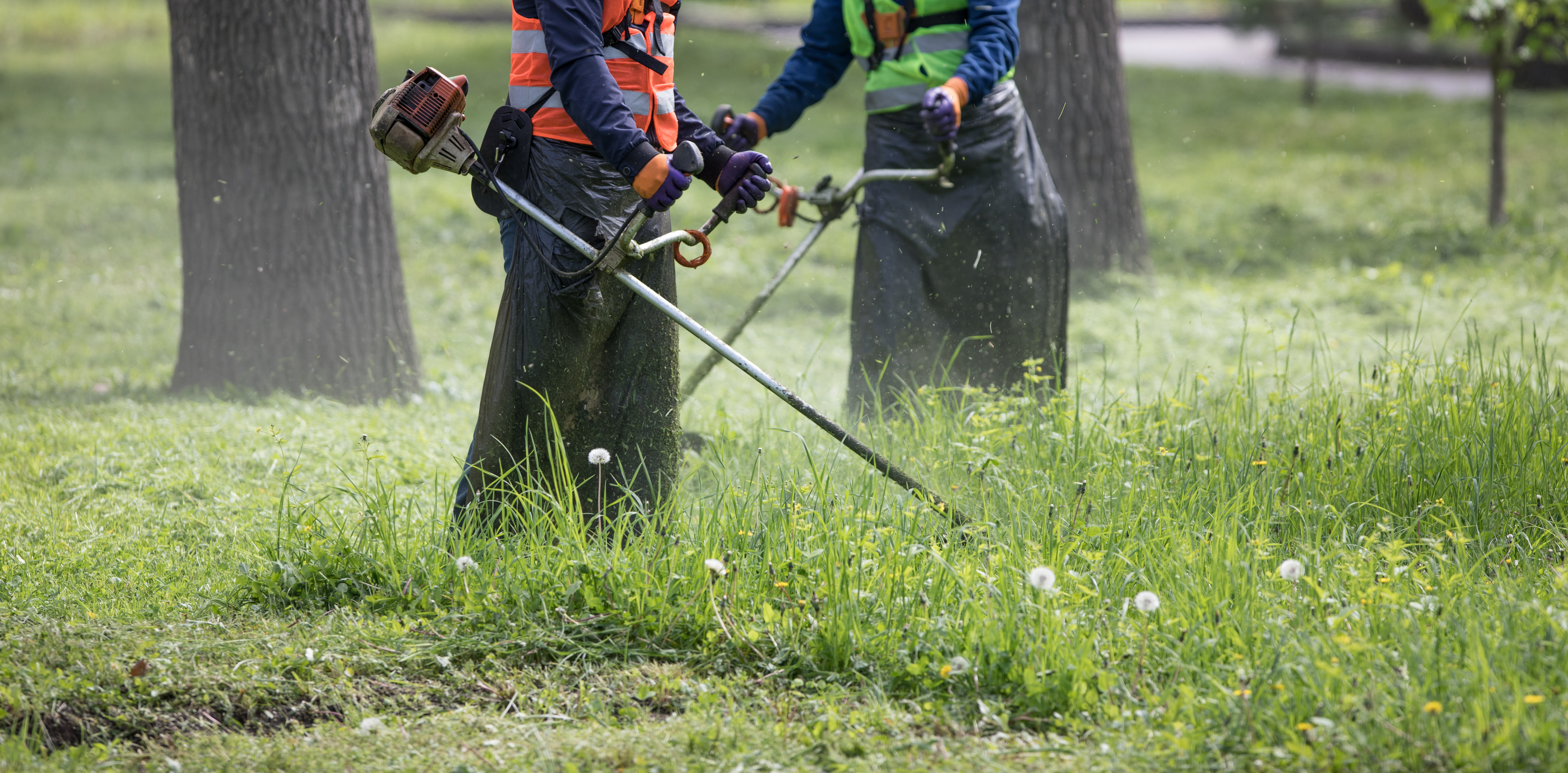 Two men cutting the grass