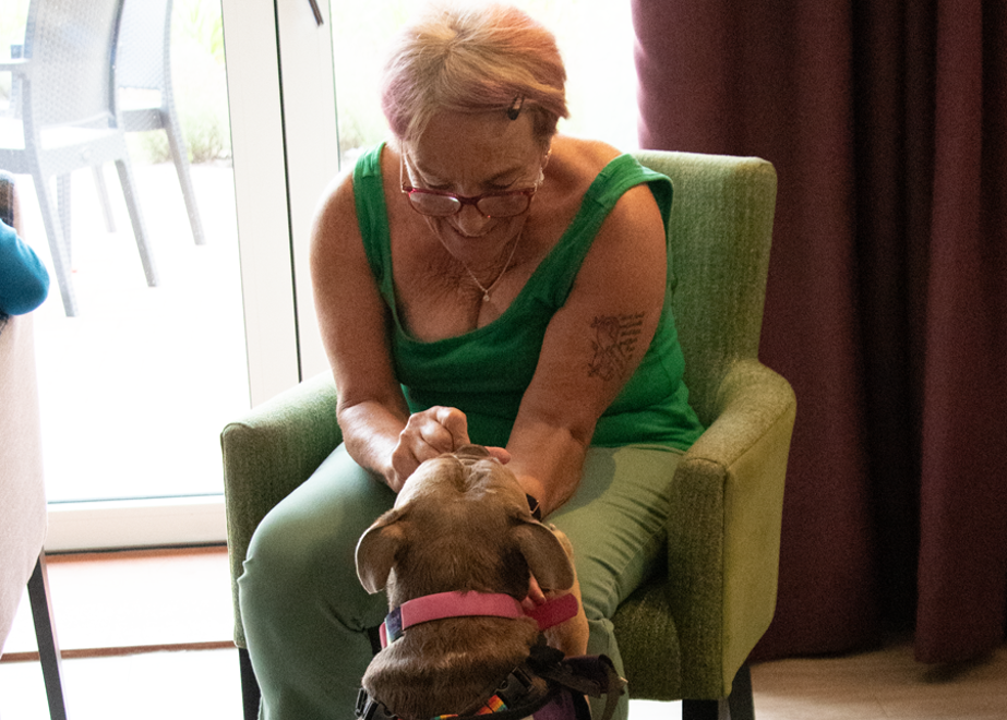 Lady stroking a dog